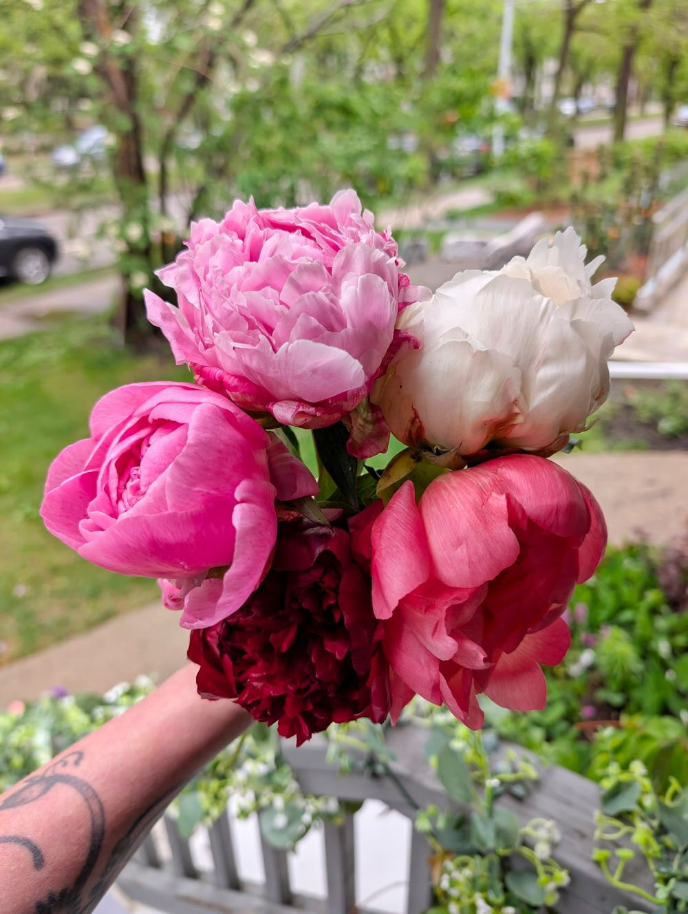 Peony Bouquet