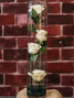Rose Romance