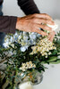 Flowers In A Vase