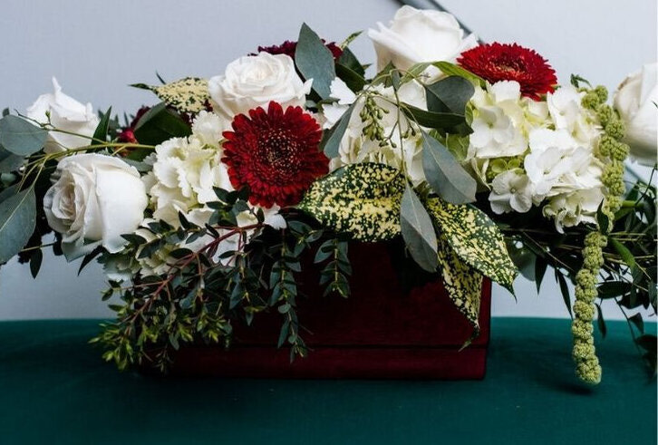 Christmas Roses to Brighten Your Holidays