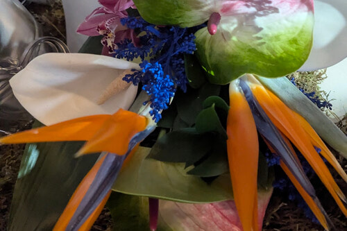 The Sun Rise of Paloma Pink