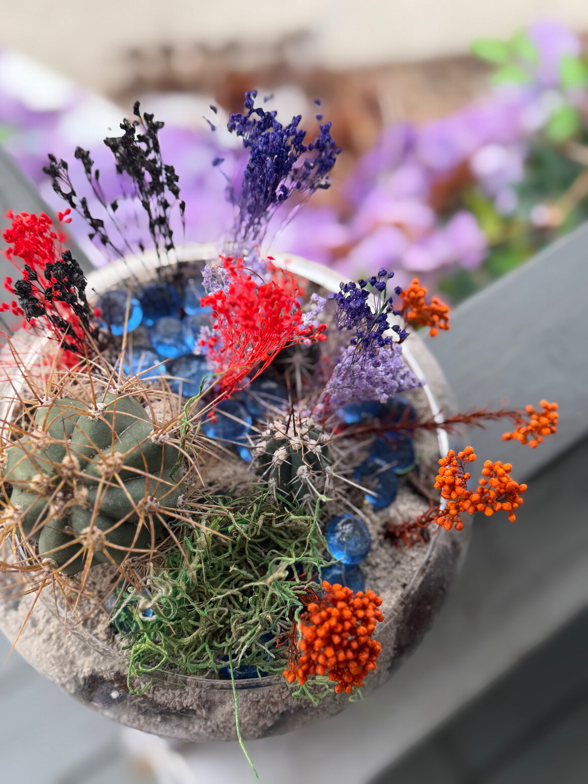 Terrariums and Herb Gardens in Edmonton