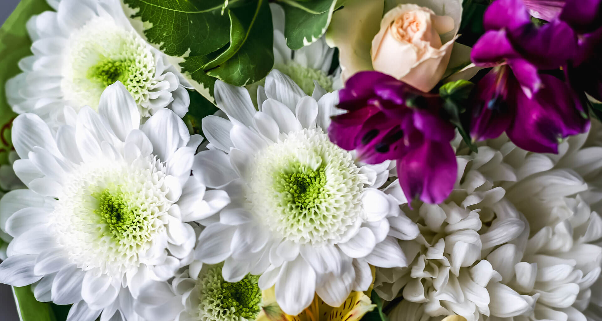 Award Winning Flower Delivery in Edmonton since 2006