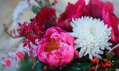  Sympathy Flowers
